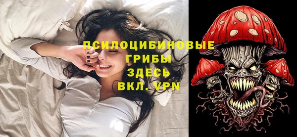 spice Мегион